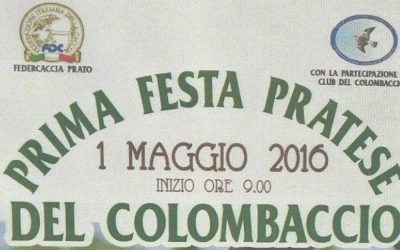 Prima festa Pratese del Colombaccio