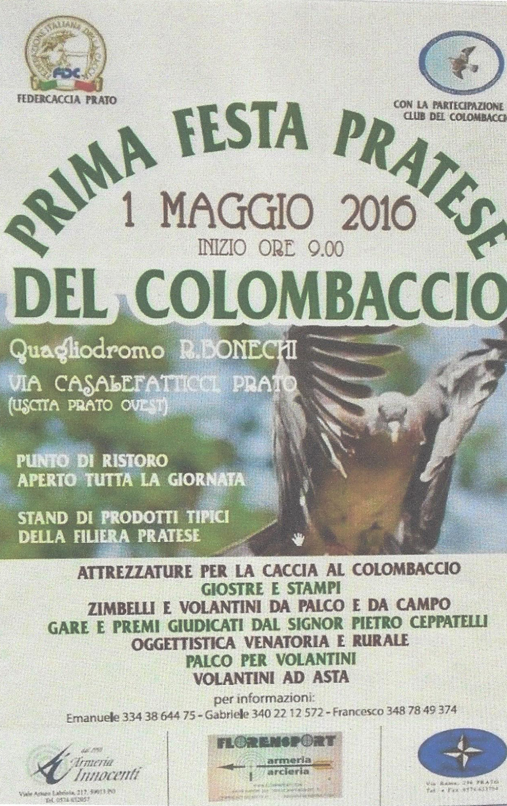 colombaccio